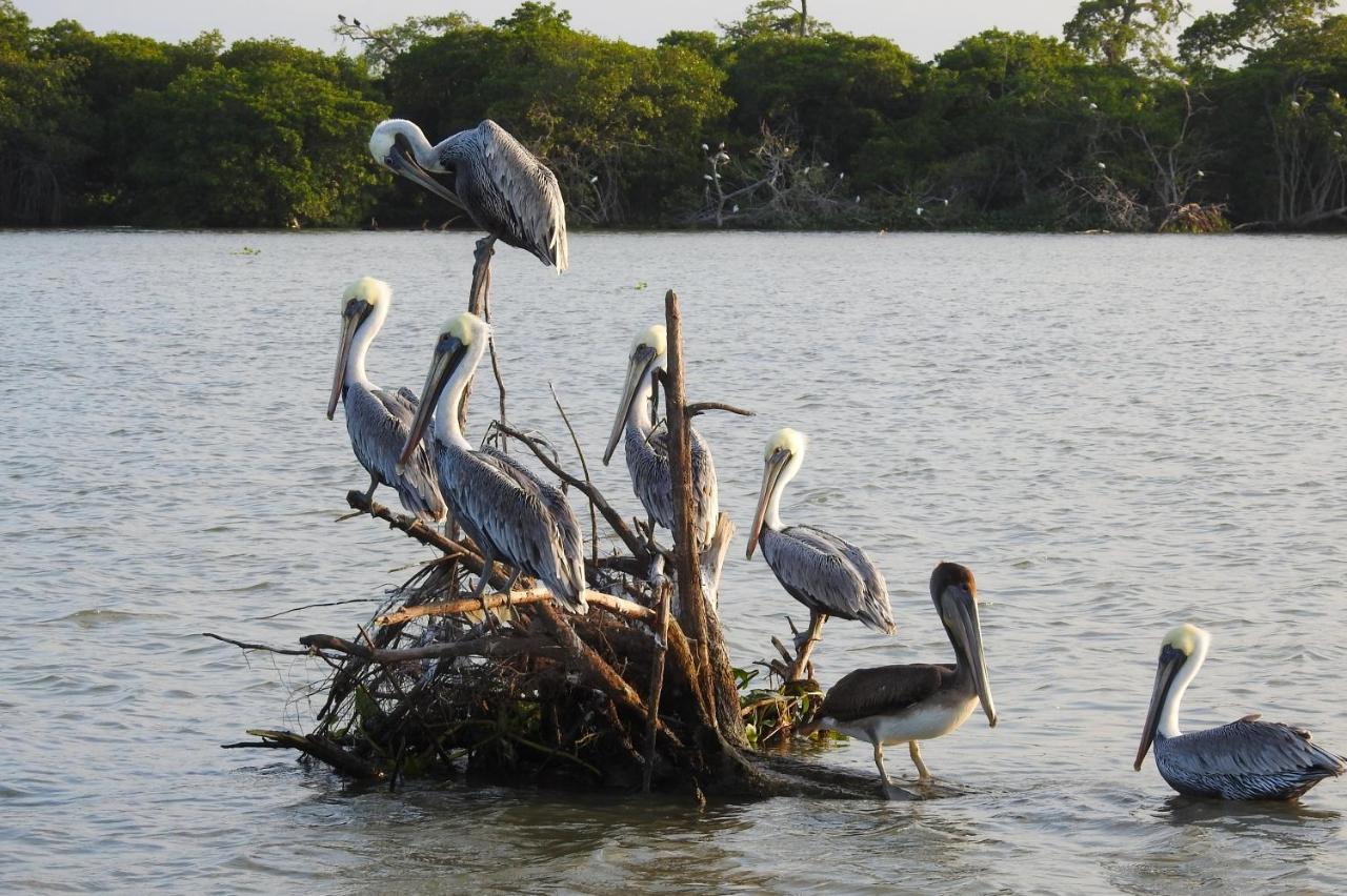 Don Luis Hostal - Sucursal Galeana - Tecolutla Exteriér fotografie